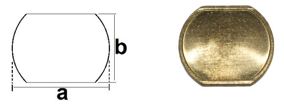 Wasserette munten / jetons voor Miele type 685828 100 stuks